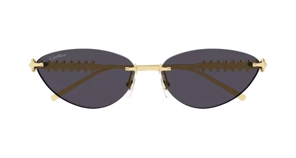 Lunettes de vue Cartier CT0543S-002