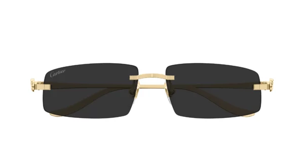 Lunettes de vue Cartier panthère CT0505S-001