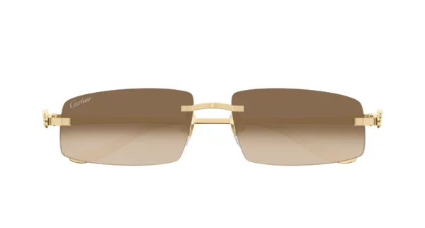 Lunettes de vue Cartier panthère CT0505S-003