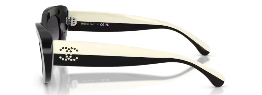 les Lunettes de soleil Chanel CH5562B C501S6 - Noir 53
