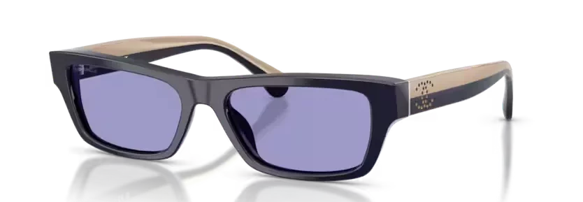 les Lunettes de soleil Chanel CH5564B C5031A - Bleu