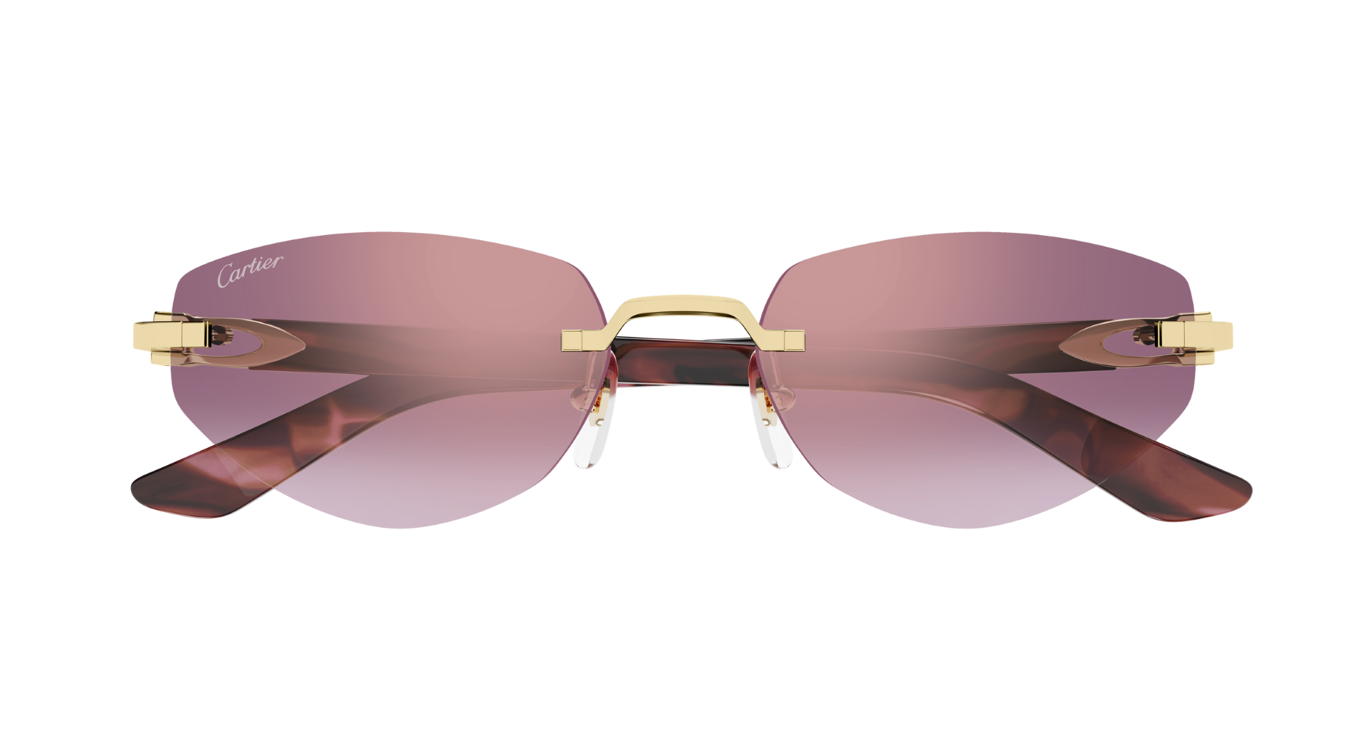 Lunettes de soleil Cartier CT0508S-002